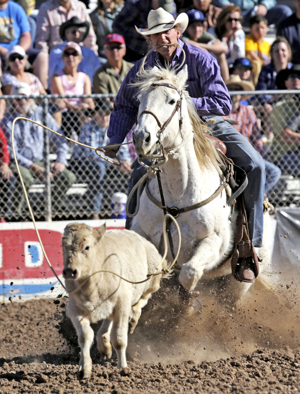 La Fiesta De Lo Vaqueros